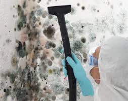 Reliable South Dennis, NJ Mold Removal & Remediation Solutions